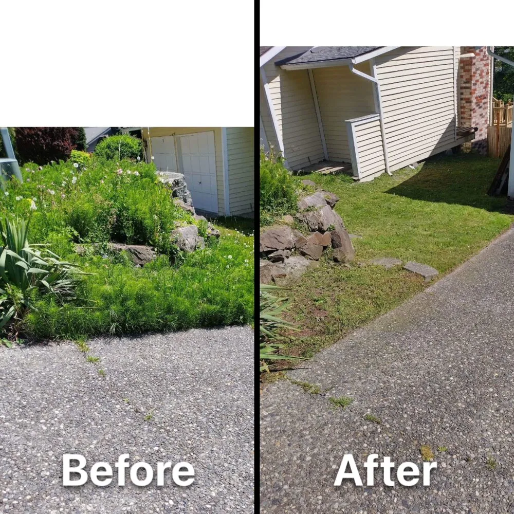 Custom lawn care service in Newcastle, WA - Max's Landscaping Services