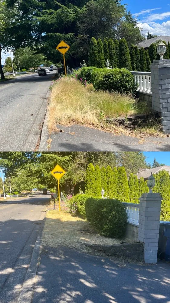 Professional lawn care service experts serving Newcastle, WA - Max's Landscaping Services