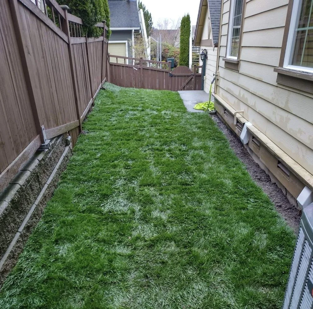 Professional outdoor landscaping experts serving Newcastle, WA - Max's Landscaping Services