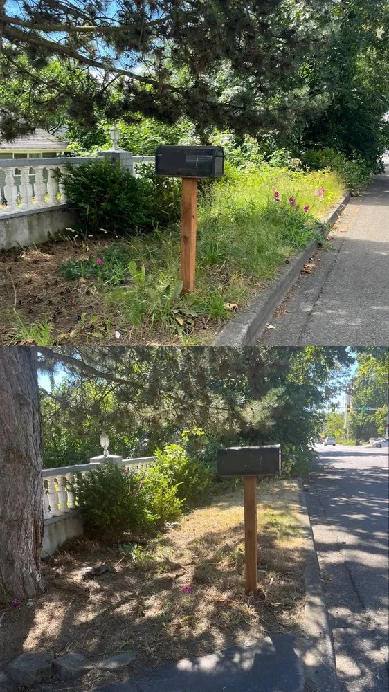 Local yard maintenance in Newcastle, WA - Max's Landscaping Services