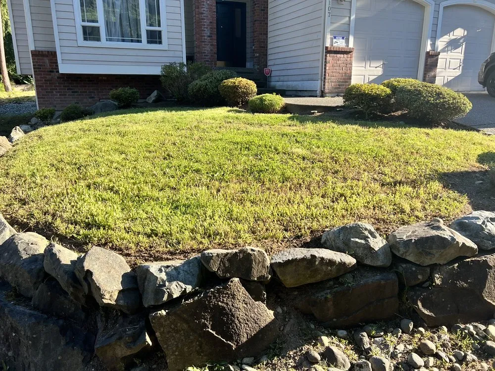 Professional landscaping services for outdoor upgrades in Newcastle, WA by Max's Landscaping Services