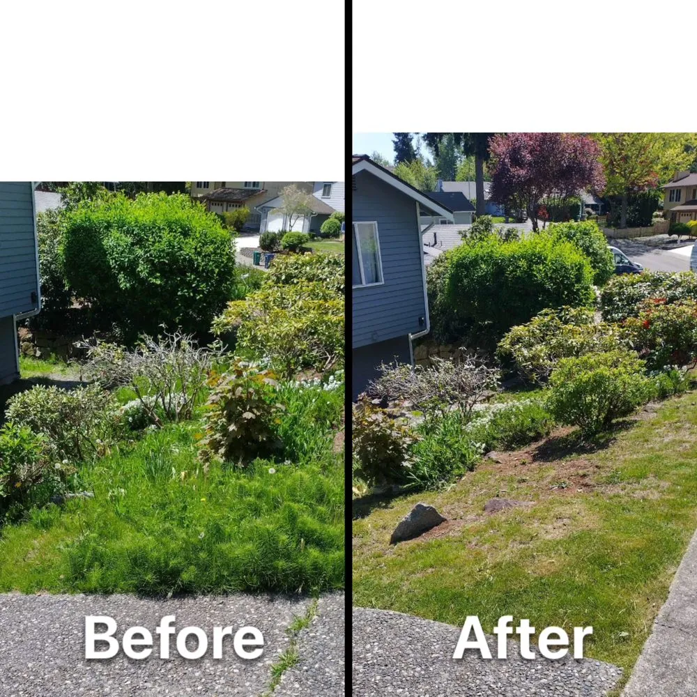 Expert landscape installation in Newcastle, WA by Max's Landscaping Services