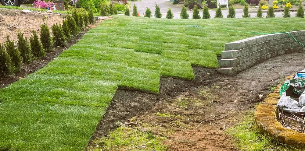 Expert lawn care service experts serving Newcastle, WA - Max's Landscaping Services