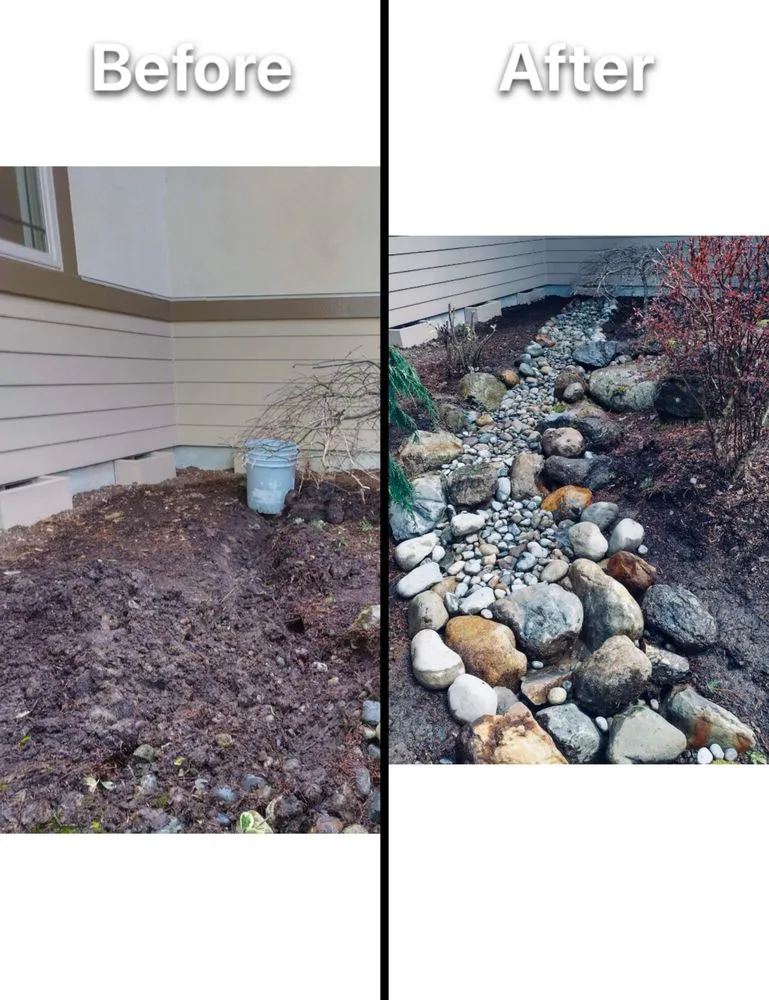 Professional yard cleanup service in Newcastle, WA - Max's Landscaping Services