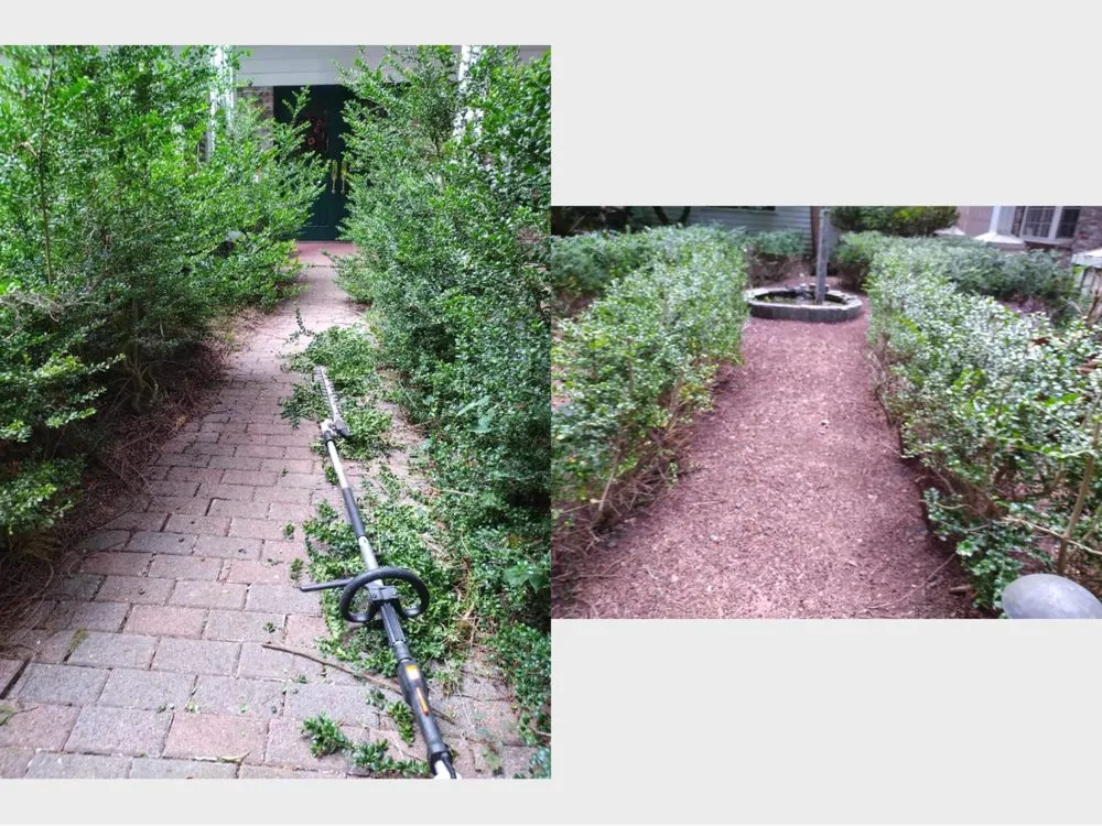Affordable residential landscaping for outdoor upgrades in Newcastle, WA by Max's Landscaping Services