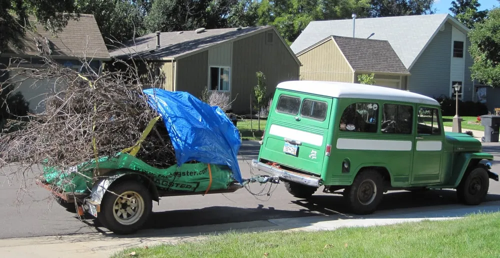 Local yard cleanup service in Longmont, CO - Max's