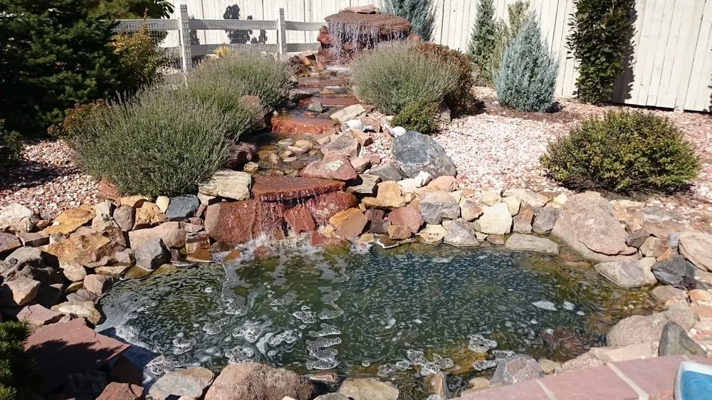 Reliable outdoor landscaping experts serving Longmont, CO - Max's