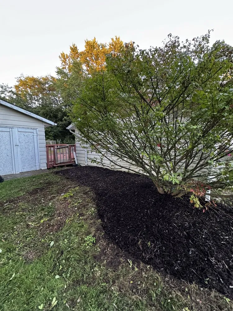 Trusted outdoor landscaping in Trumansburg, NY - Max’s Outdoor Solutions