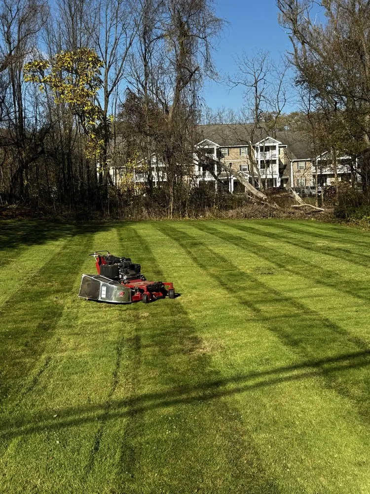 Expert landscape design experts serving Trumansburg, NY - Max’s Outdoor Solutions