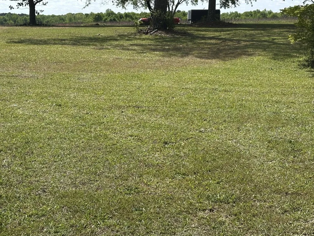 Professional landscaping services in Cochran, GA - Maxscapes landscaping