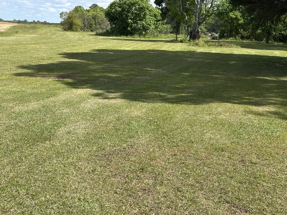 Expert outdoor landscaping for year-round maintenance in Cochran, GA by Maxscapes landscaping