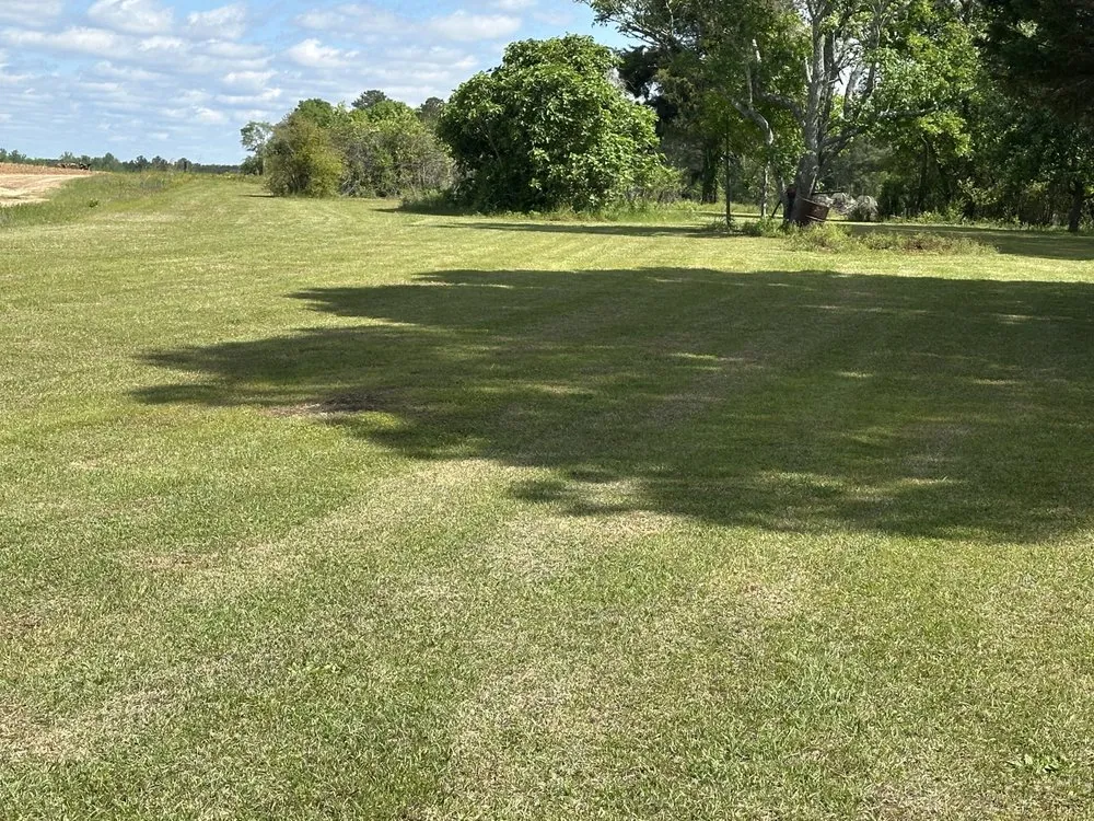 Top-rated yard maintenance near you in Cochran, GA by Maxscapes landscaping