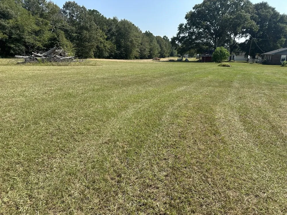 Reliable lawn care service for year-round maintenance across Cochran, GA - Maxscapes landscaping