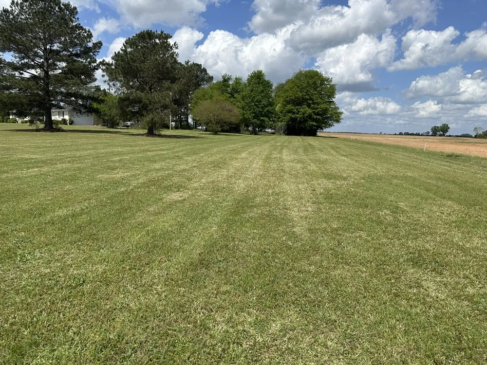 Affordable lawn care service for outdoor upgrades in Cochran, GA by Maxscapes landscaping