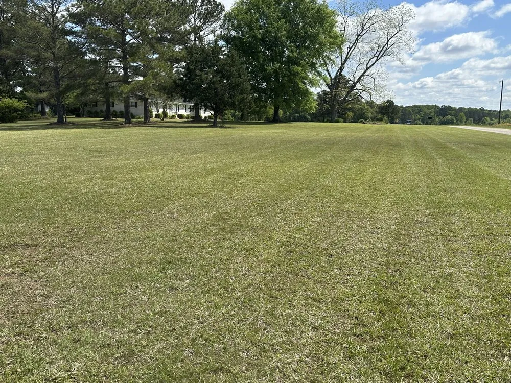 Professional yard maintenance in Cochran, GA by Maxscapes landscaping