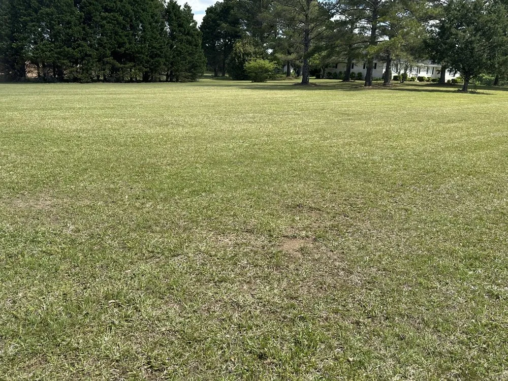 Reliable landscaping services experts serving Cochran, GA - Maxscapes landscaping