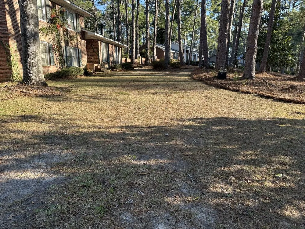 Local landscape design in Cochran, GA by Maxscapes landscaping