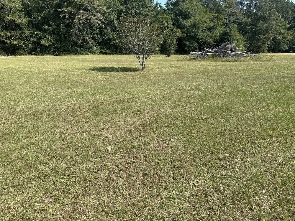 Local residential landscaping experts serving Cochran, GA - Maxscapes landscaping