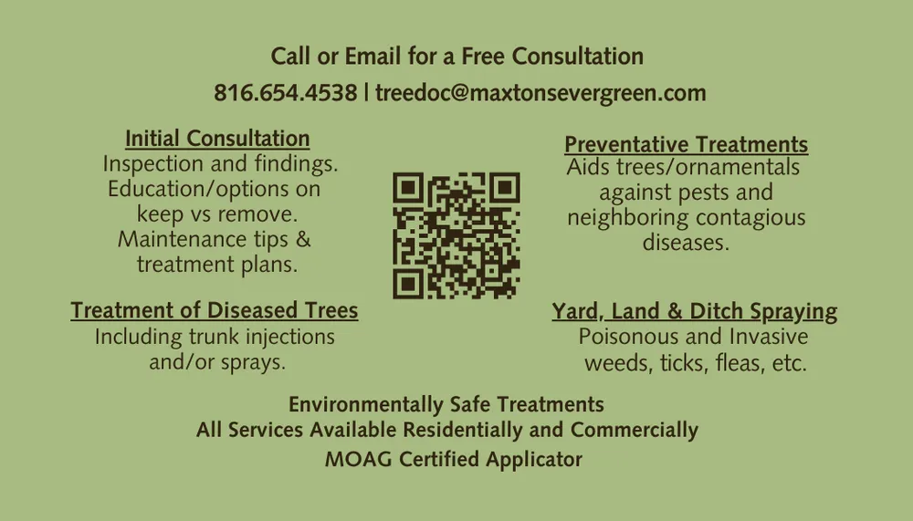 Custom outdoor landscaping near you in Blue Springs, MO by Maxton's Evergreen