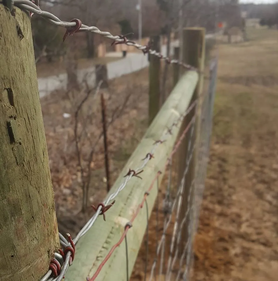 Local landscaping services in Paragould, AR by Maxwell Fence