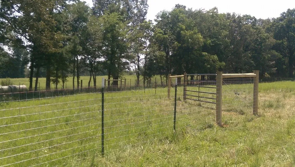 Expert yard maintenance experts serving Paragould, AR - Maxwell Fence
