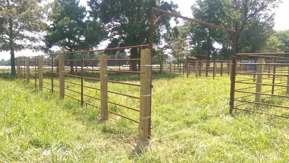 Trusted landscaping services experts serving Paragould, AR - Maxwell Fence