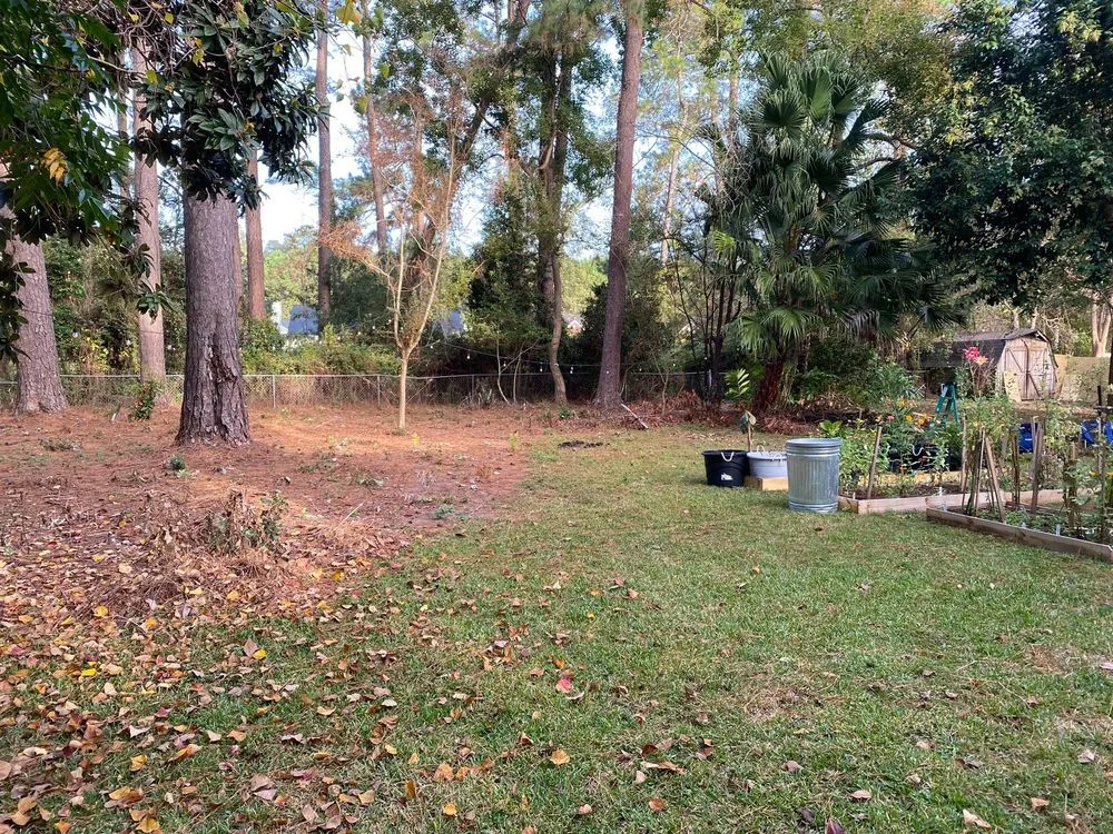 Expert garden landscaping in Thomasville, GA by Maxwell Land Management