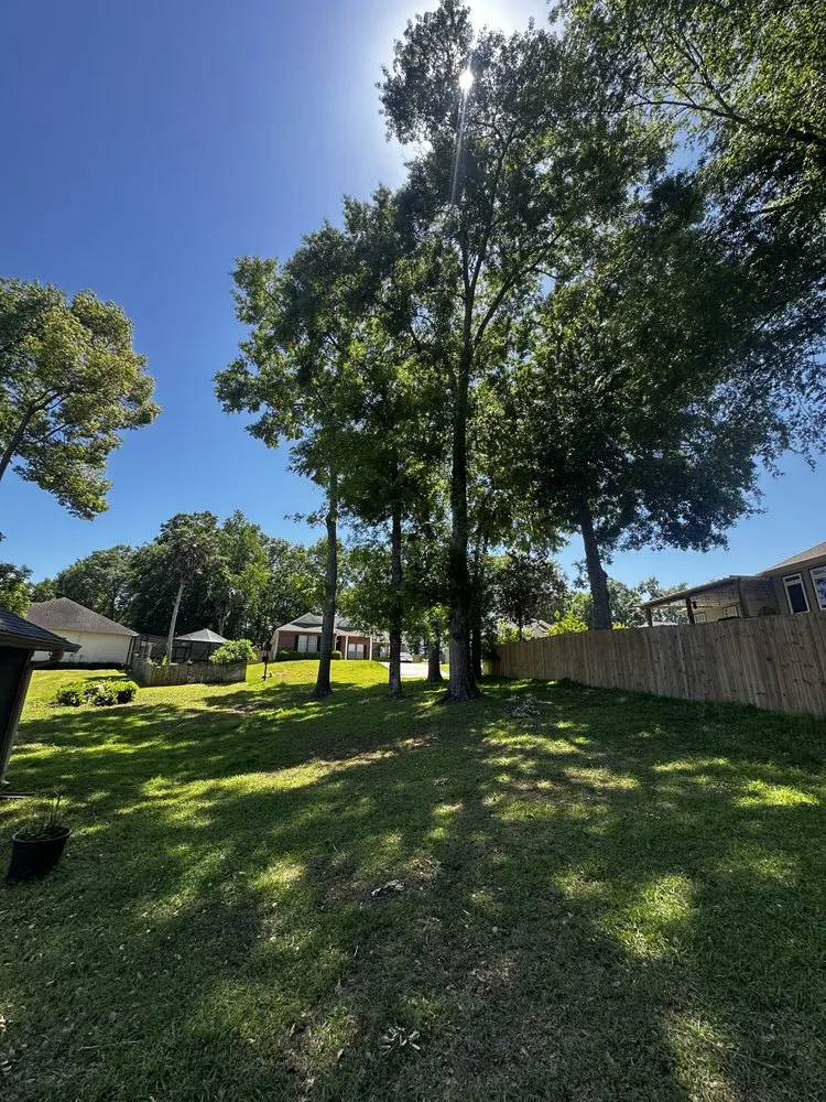 Reliable lawn care service experts serving Thomasville, GA - Maxwell Land Management