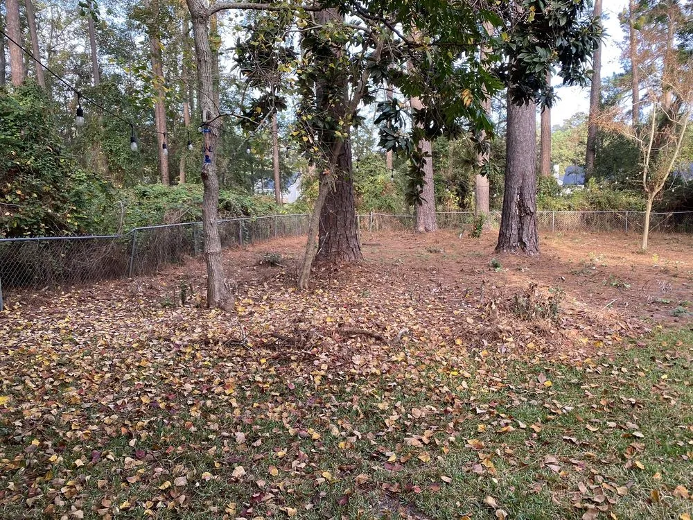 Local landscape installation in Thomasville, GA - Maxwell Land Management