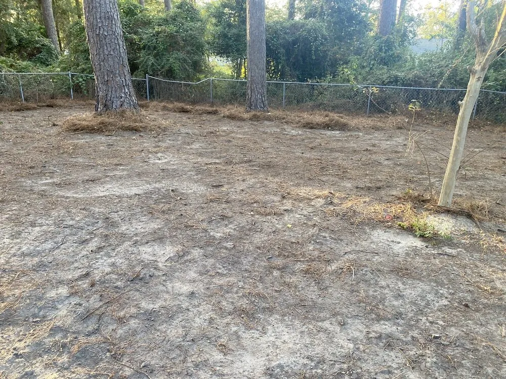 Trusted yard cleanup service experts serving Thomasville, GA - Maxwell Land Management