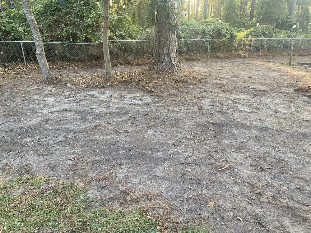 Local landscaping services near you in Thomasville, GA by Maxwell Land Management