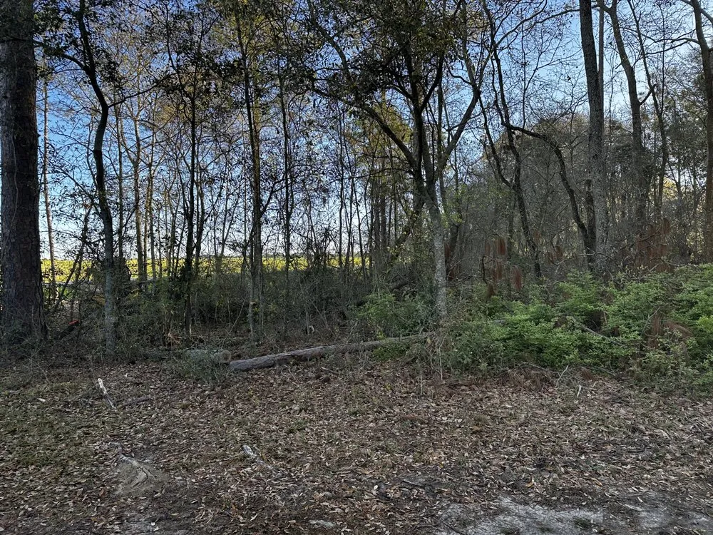 Trusted lawn care service for residential properties across Thomasville, GA - Maxwell Land Management