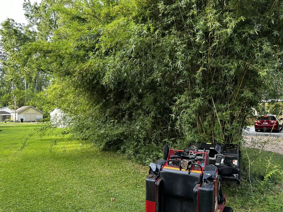 Reliable garden landscaping experts serving Thomasville, GA - Maxwell Land Management