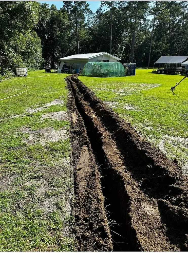 Local yard cleanup service experts serving Thomasville, GA - Maxwell Land Management