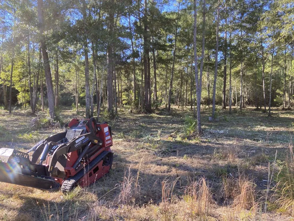Local outdoor landscaping for year-round maintenance across Thomasville, GA - Maxwell Land Management