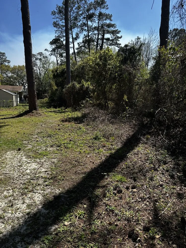 Reliable yard maintenance for outdoor upgrades across Thomasville, GA - Maxwell Land Management