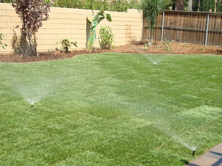 Expert yard cleanup service near you across Highland, CA - Maxwell Landscaping