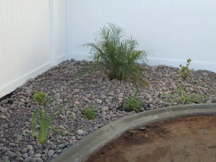 Professional landscape installation in Highland, CA - Maxwell Landscaping