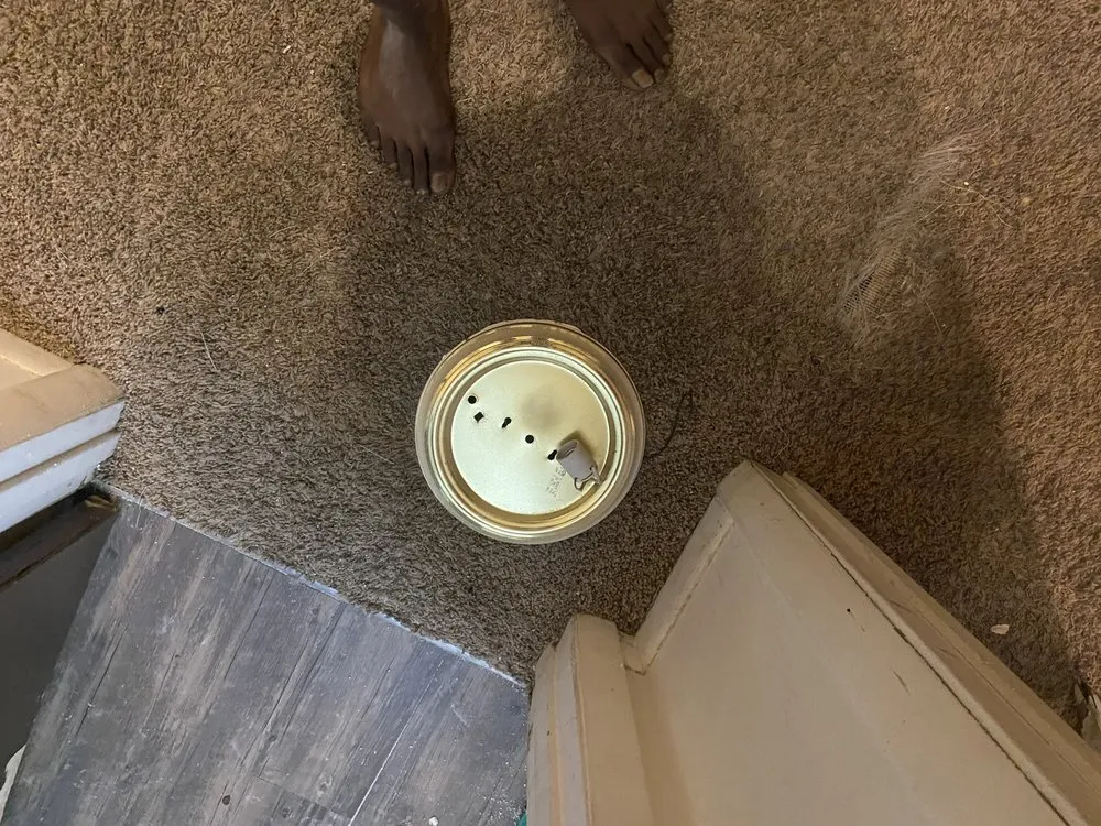 Trusted landscape design in Indianapolis, IN by Maxwell7plus