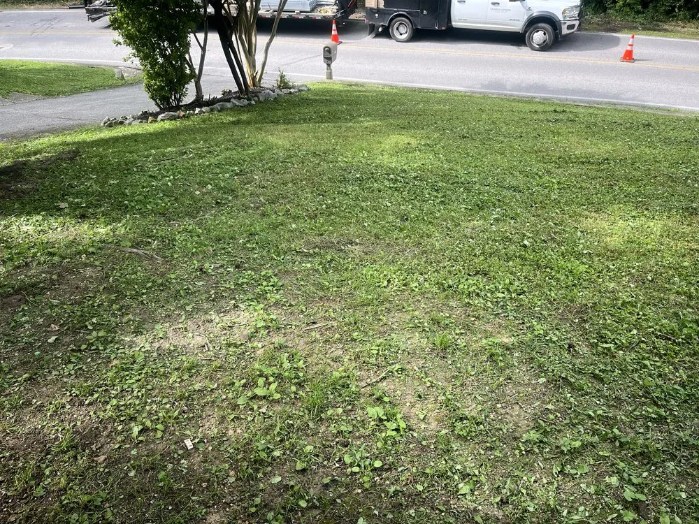 Custom lawn care service with custom design in Chattanooga, TN by Maxwell’s lawn care