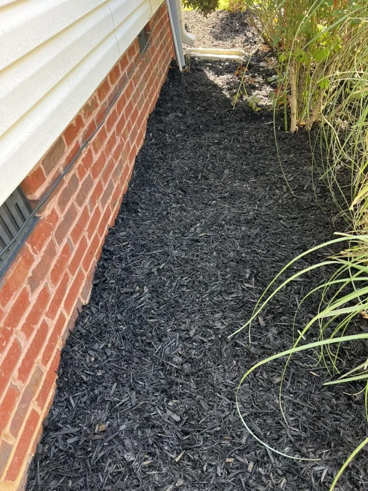 Expert lawn mowing service in Chattanooga, TN - Maxwell’s lawn care