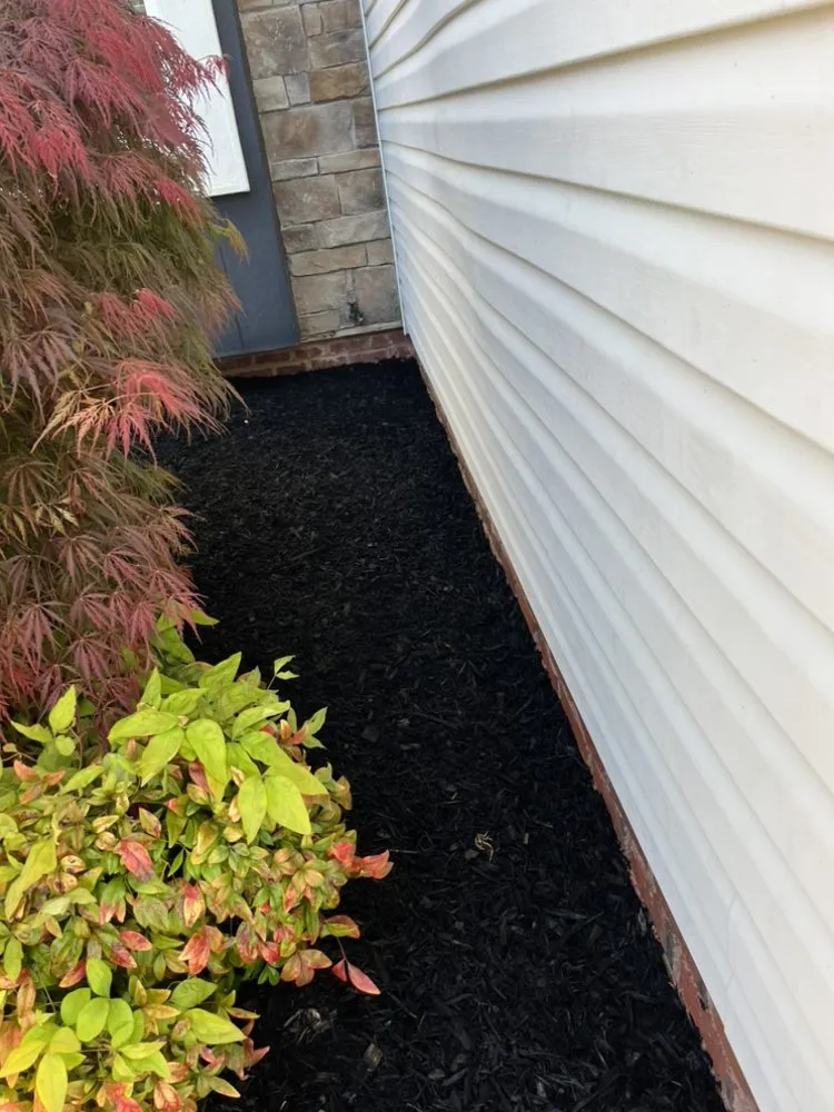 Professional yard maintenance experts serving Chattanooga, TN - Maxwell’s lawn care