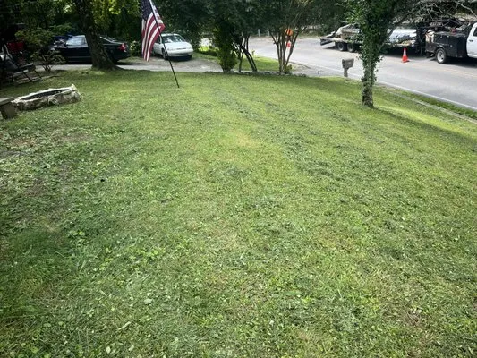 Maxwell’s lawn care Logo