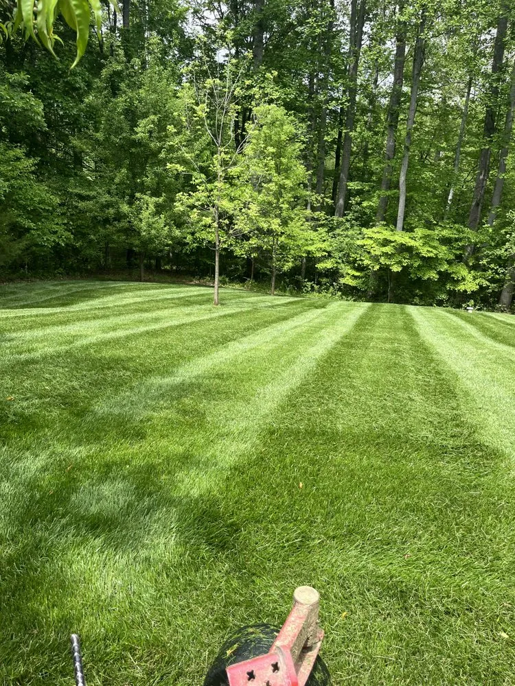 Local lawn mowing service near you in Unionville, VA by Maxwell's Lawn Service & Tree Service