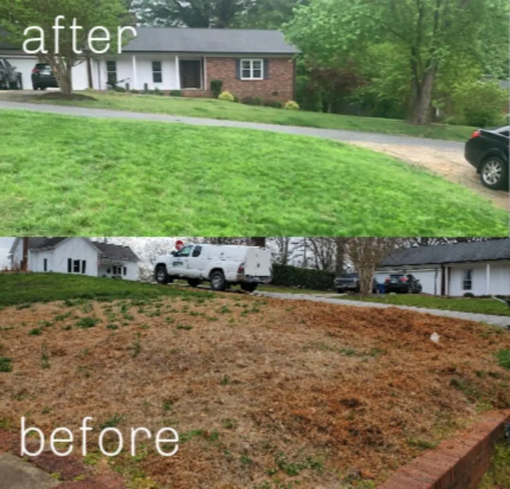 Affordable residential landscaping for beautiful yards across Dallas, NC - MAXX Pest Control and Lawn Care
