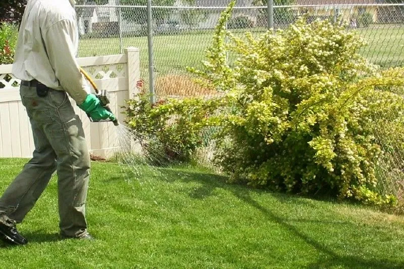 Local outdoor landscaping experts serving Dallas, NC - MAXX Pest Control and Lawn Care
