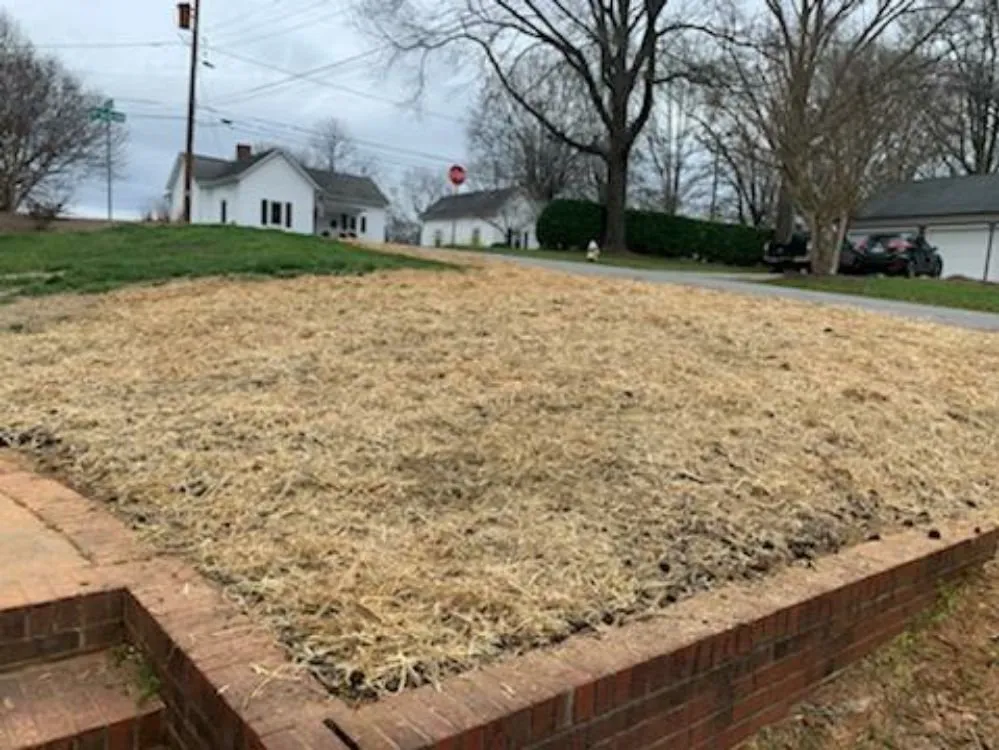 Expert lawn mowing service for residential properties across Dallas, NC - MAXX Pest Control and Lawn Care