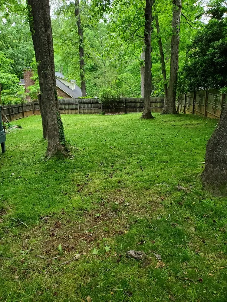 Top-rated landscaping services for outdoor upgrades across Dallas, NC - MAXX Pest Control and Lawn Care