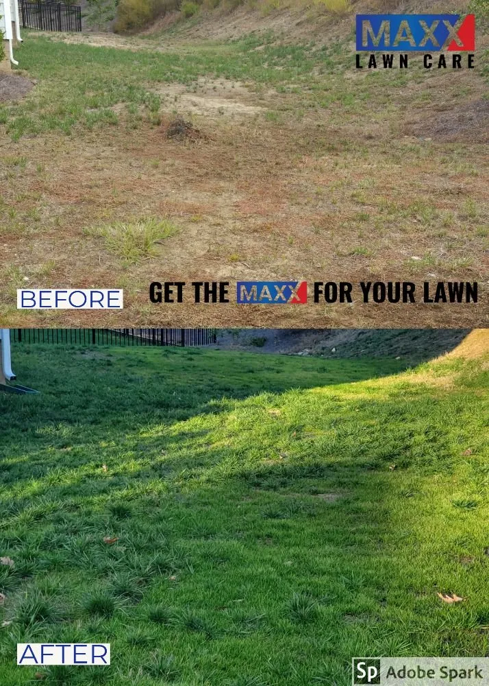 Reliable yard cleanup service experts serving Dallas, NC - MAXX Pest Control and Lawn Care