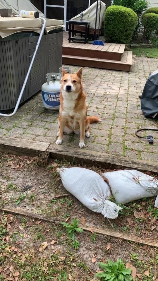 Custom landscape design in Tallahassee, FL - May Day Outdoor Services